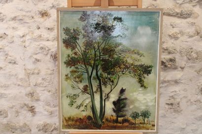Jean BURKHALTER (1895-1982), [VENDEE] Trees,...