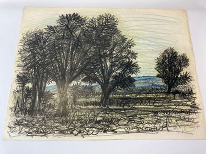 Jean BURKHALTER (1895-1982), Etudes d'arbres,...