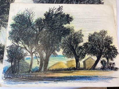 Jean BURKHALTER (1895-1982), Etudes d'arbres,...