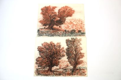 Jean BURKHALTER (1895-1982) , Etudes d'arbres,...