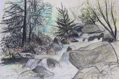 Jean BURKHALTER (1895-1982) , Etudes d'arbres,...