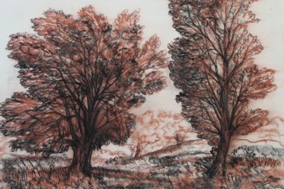 Jean BURKHALTER (1895-1982) , Etudes d'arbres,...