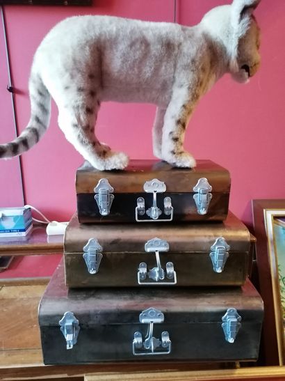 
Lot de 3 boite déco et un tigre
