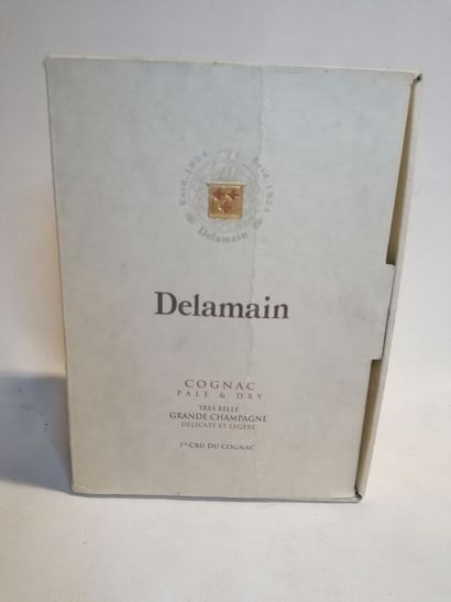 
2 COGNAC, DELAMAIN PALE & DRY 70cl level...