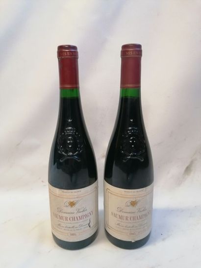 
2 Bottles Champigny Domaine Vacher 1995...