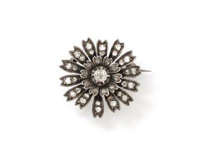 Brooch in silver 800 and gold 750 thousandths,...