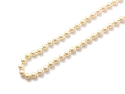 Necklace made up of a fall of probably fine...