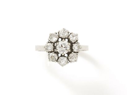 Ring marguerite in white gold 750 thousandths,...