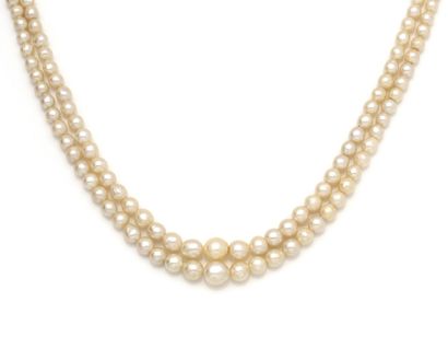 Collier composé de 2 rangs de perles de culture...