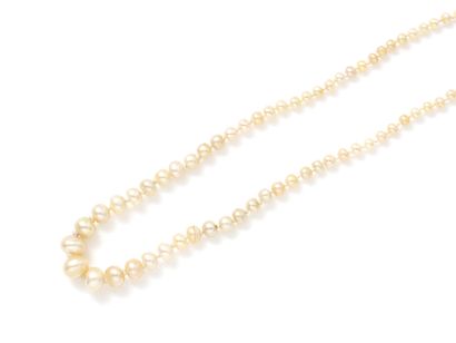 Necklace composed of a fall of pearls of...