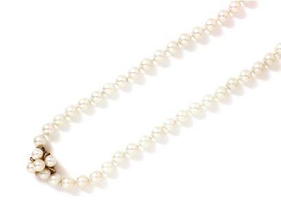 Long necklace composed of a row of cultured...