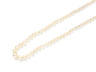 Necklace made up of a light fall of pearls...