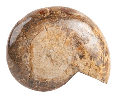 A decorative object from the 