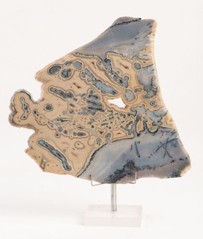 Beautiful slice of orbicular jasper. Its...