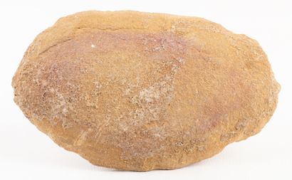 Nodule with fossil fish from the Santana...