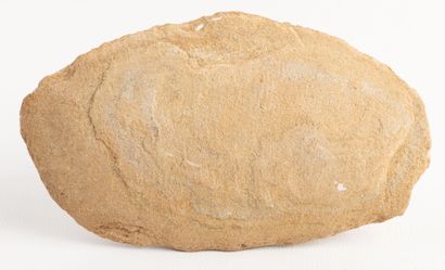Nodule with fossil fish from the Santana...