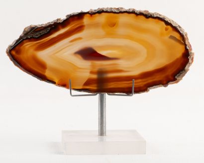 Thin slice of agate, polished on both sides....