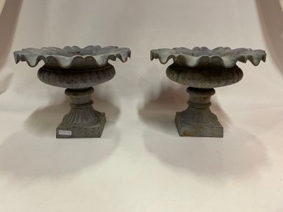 Pair of medicis basins in painted cast iron,...