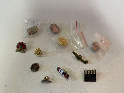 un lot de 11 pins divers
