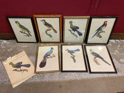 A set of 7 framed color plates from the book...