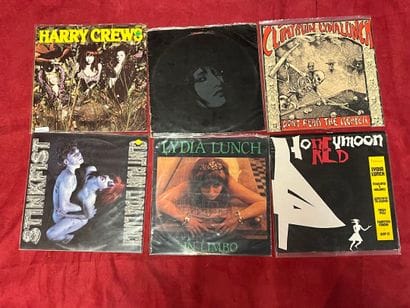 un lot de 6 vinyles de Lydia Lunch, rock...