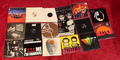 un lot 17 vinyles (dont Muse, daft punk....