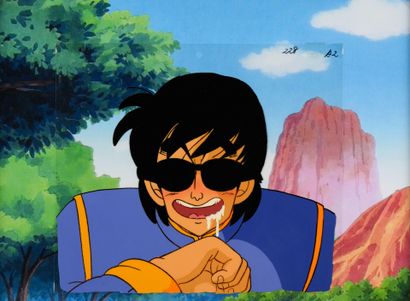 Dragon Ball - Turtle Genius

From episode...