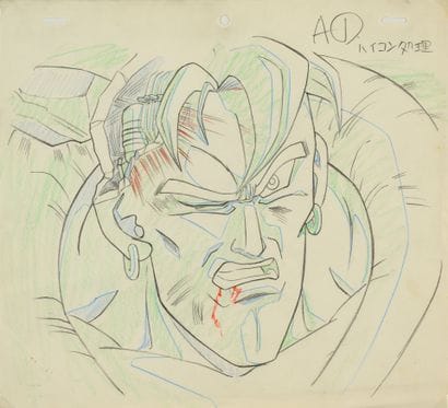 Dragon Ball Z - C-16 (Android 16)

From episode...