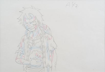 One Piece - Monkey D. Luffy

Original production...