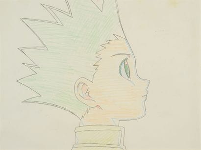 Hunter X Hunter - Gon Freecs

Original production...