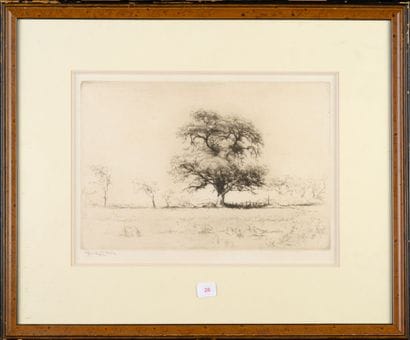 Edgar CHAHINE (1874-1947)
Anglet, chêne-liège...