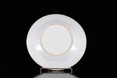 China set of 2 18th century plates with plant...