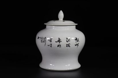 China covered jar with fish decoration from...