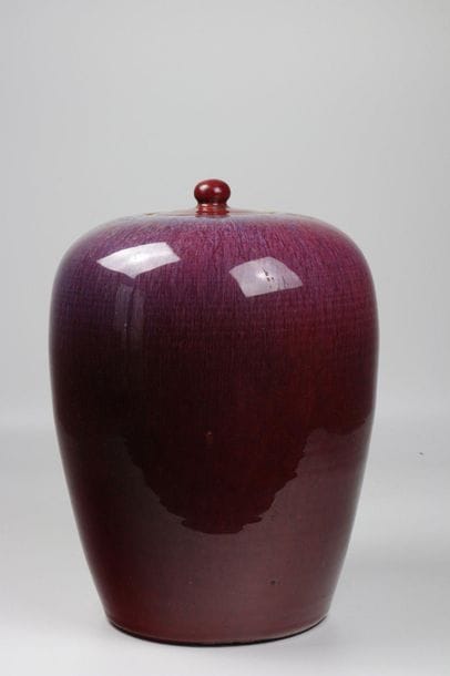 China monochrome vase with flamingo decoration...