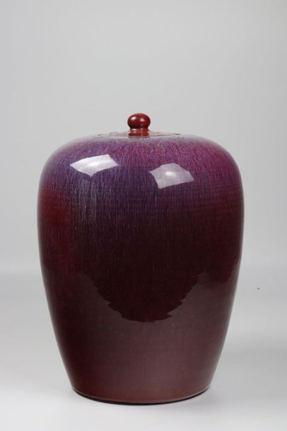 China monochrome vase with flamingo decoration...