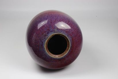 China monochrome vase with flamingo decoration...