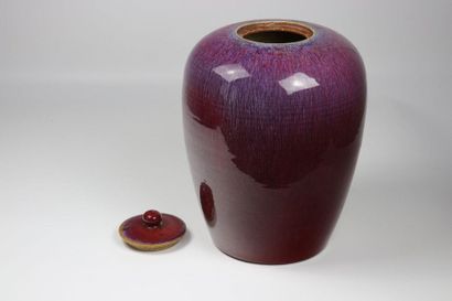 China monochrome vase with flamingo decoration...