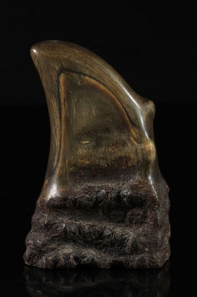Carved horn. INDIA, Asia 19th century.
Sizes:...