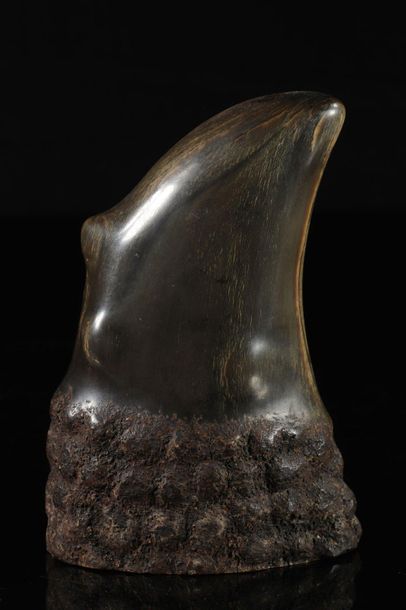 Carved horn. INDIA, Asia 19th century.
Sizes:...