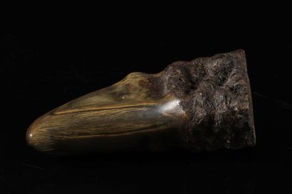 Carved horn. INDIA, Asia 19th century.
Sizes:...