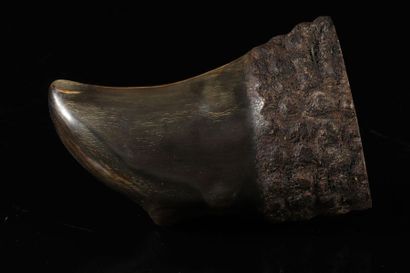 Carved horn. INDIA, Asia 19th century.
Sizes:...