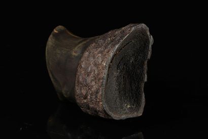 Carved horn. INDIA, Asia 19th century.
Sizes:...