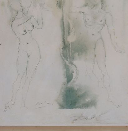 Salvador Dali « Adam et Eve » Lithographie...