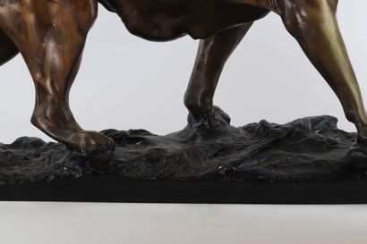 Antonio AMORGASTI (1880-1942) Lionne et lionceau
Dimensions:...