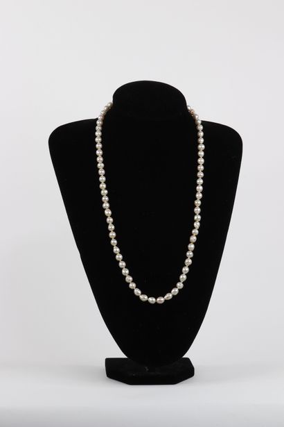 Collier en perle fine
Région: CHINE
Dimensions:...