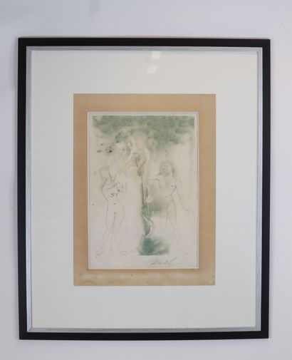 Salvador Dali « Adam et Eve » Lithographie...