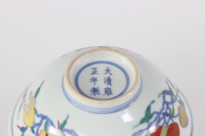 Bol Doucai à décor de fruits marque Yongzheng
Région:...