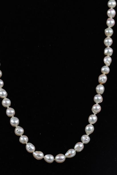 Collier en perle fine
Région: CHINE
Dimensions:...