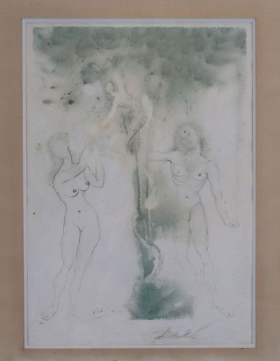Salvador Dali « Adam et Eve » Lithographie...
