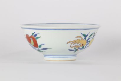 Bol Doucai à décor de fruits marque Yongzheng
Région:...